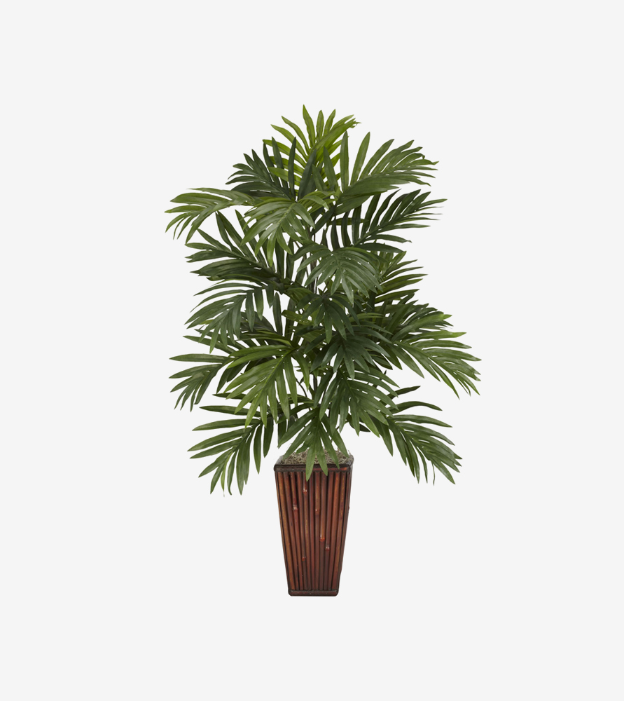 Nam finibus lectus Nam finibus lectus