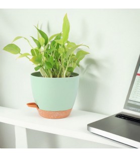 Self-watering plastic round flower pot