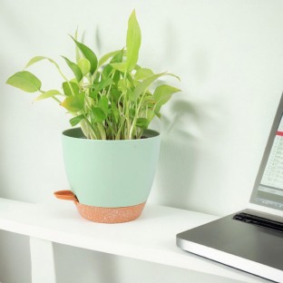 Self-watering plastic round flower pot