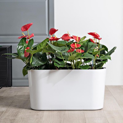 Rectangular floor-standing decorative planter with water reservoir