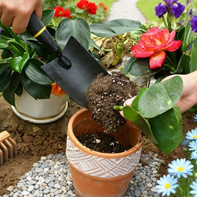 Stainless steel gardening transplanting trowel