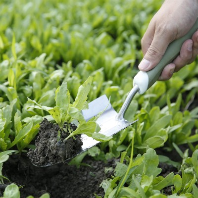 Carbon steel head garden shovel with handle