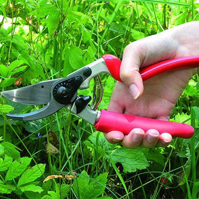 Flower pruning shears gardening hand shears