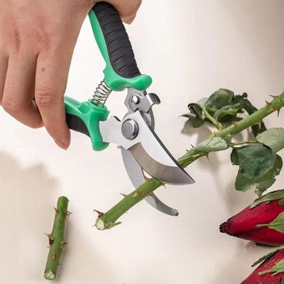 High-quality spring pruning shears for fruit trees
