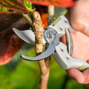Ergonomic bypass pruning shears
