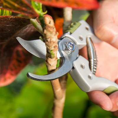 Ergonomic bypass pruning shears