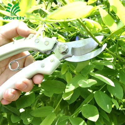 Professional stainless steel bypass pruning shears